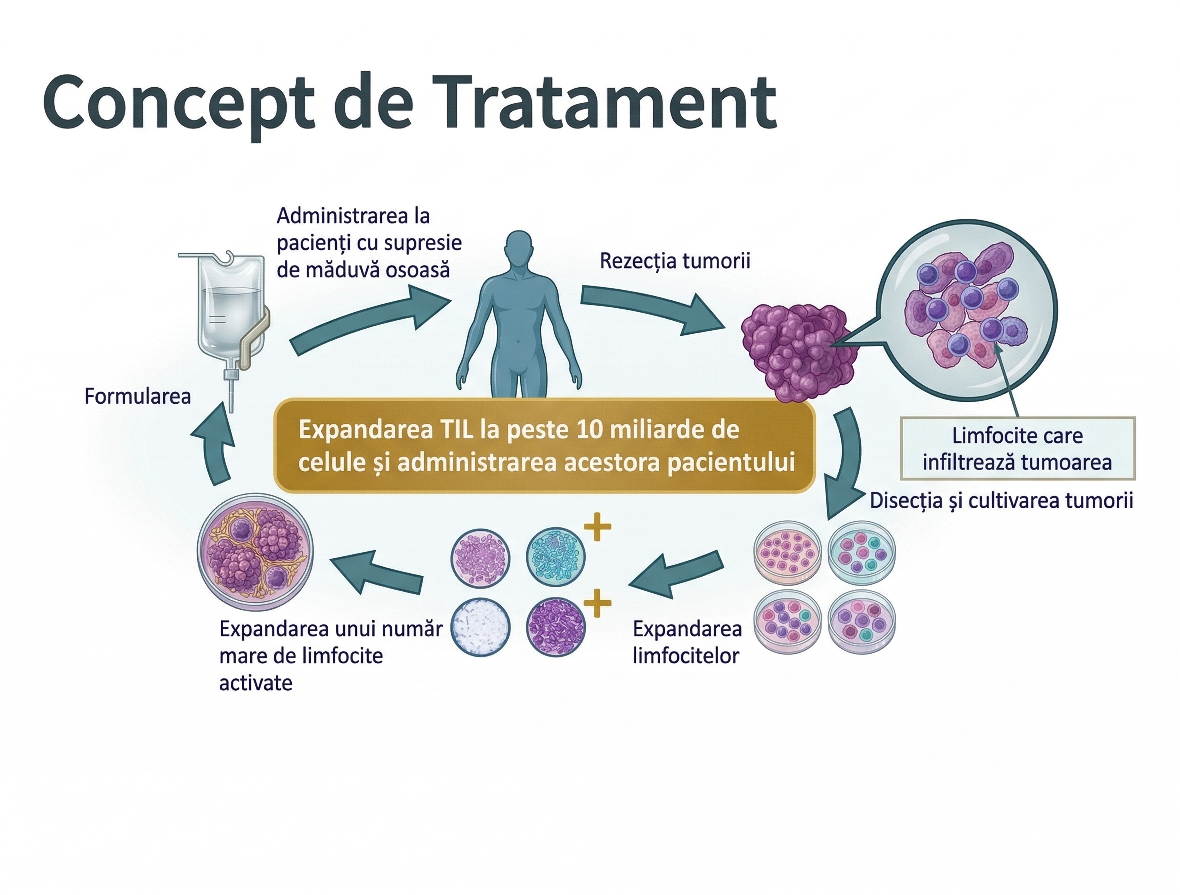 Treatment Concept — Conceptul de Tratament TIL
